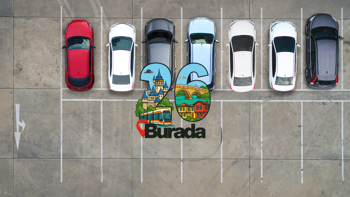 Eskişehir'de Zaman Tüneli: Milyon Yıllık Taşlaşmış Ormanlar ve Fosillerle Şehrin Gizli Tarihini Keşfet!