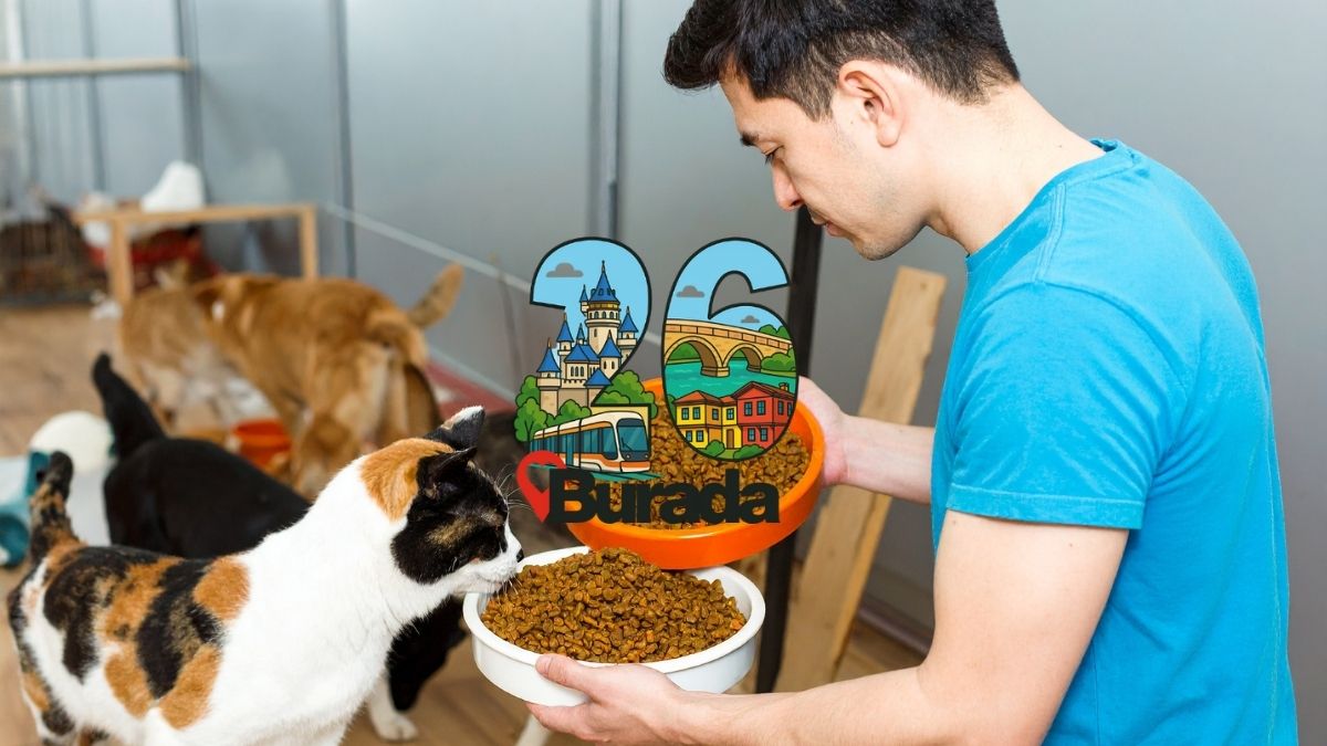 Eskişehir'in Fısıldayan Dokuları: Şehrin Ruhunu Işık, Gölge ve Açı Oyunlarıyla Kadraja Sığdırmak